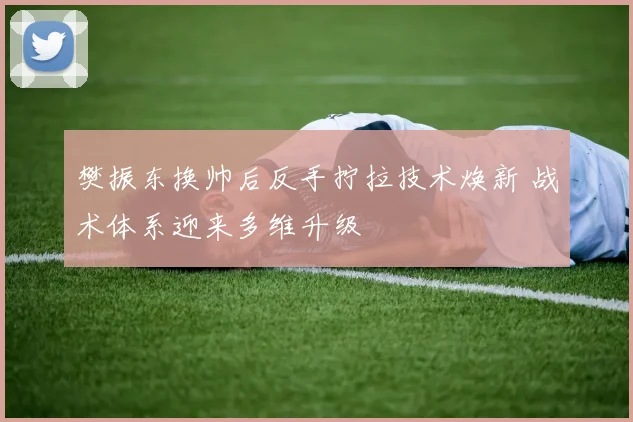 樊振东换帅后反手拧拉技术焕新 战术体系迎来多维升级