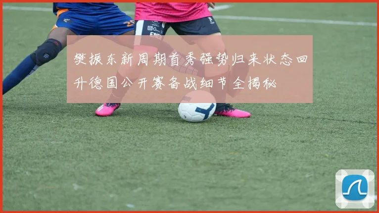 樊振东新周期首秀强势归来状态回升德国公开赛备战细节全揭秘
