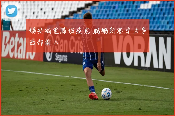 锡安减重膝伤痊愈 鹈鹕新赛季力争西部前六